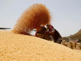 File photo: A worker sifts wheat before filling in sacks at the market yard of the Agriculture Product Marketing Committee (APMC) on the outskirts of Ahmedabad, India, May 16, 2022. REUTERS/Amit Dave/File photo